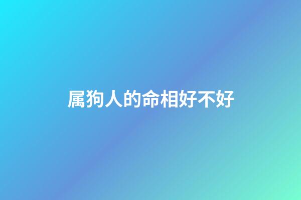 属狗人的命相好不好