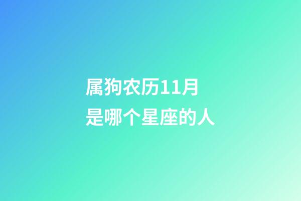 属狗农历11月是哪个星座的人-第1张-星座运势-玄机派