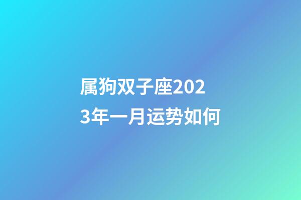 属狗双子座2023年一月运势如何-第1张-星座运势-玄机派