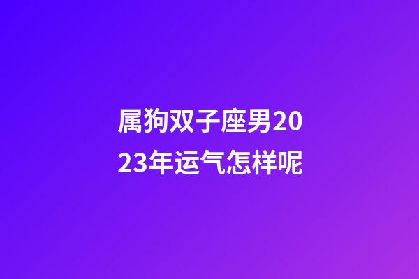 属狗双子座男2023年运气怎样呢-第1张-星座运势-玄机派
