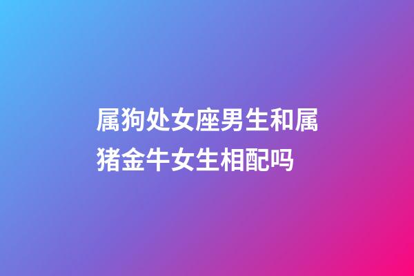 属狗处女座男生和属猪金牛女生相配吗-第1张-星座运势-玄机派