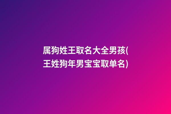 属狗姓王取名大全男孩(王姓狗年男宝宝取单名)