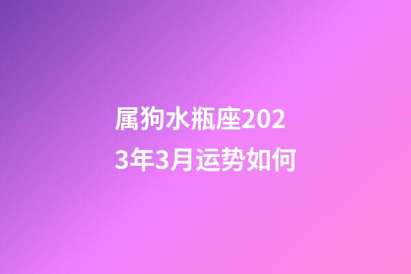 属狗水瓶座2023年3月运势如何-第1张-星座运势-玄机派