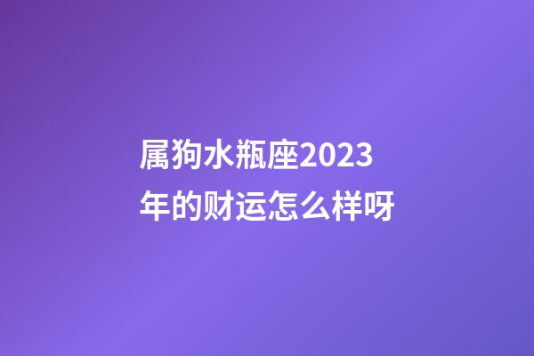 属狗水瓶座2023年的财运怎么样呀-第1张-星座运势-玄机派