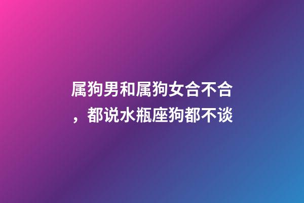 属狗男和属狗女合不合，都说水瓶座狗都不谈-第1张-观点-玄机派