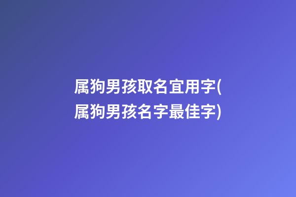 属狗男孩取名宜用字(属狗男孩名字最佳字)