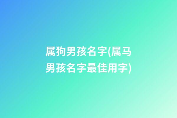 属狗男孩名字(属马男孩名字最佳用字)