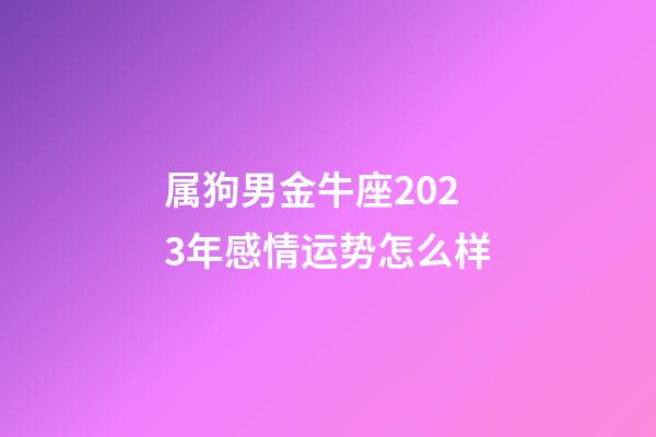 属狗男金牛座2023年感情运势怎么样-第1张-星座运势-玄机派