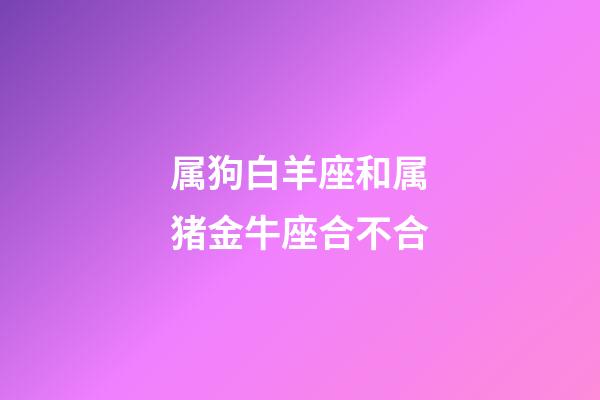 属狗白羊座和属猪金牛座合不合