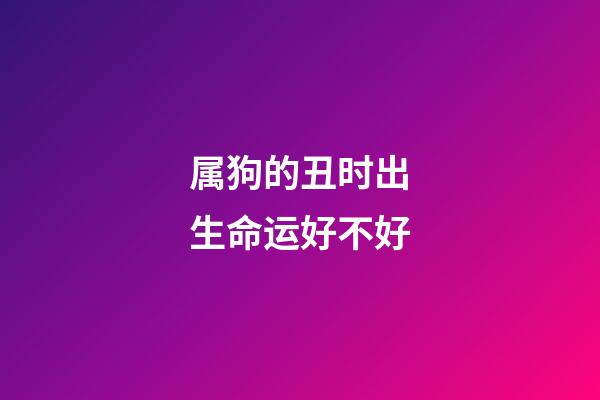 属狗的丑时出生命运好不好