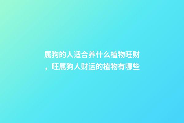 属狗的人适合养什么植物旺财，旺属狗人财运的植物有哪些