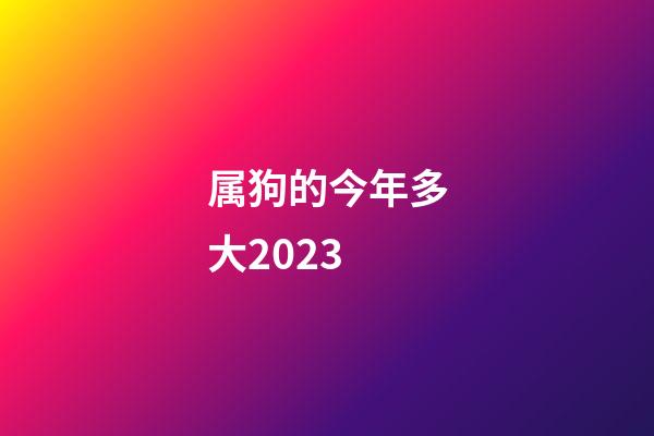 属狗的今年多大2023