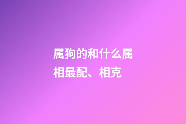 属狗的和什么属相最配、相克（狗跟什么相冲相克）-第1张-星座运势-玄机派