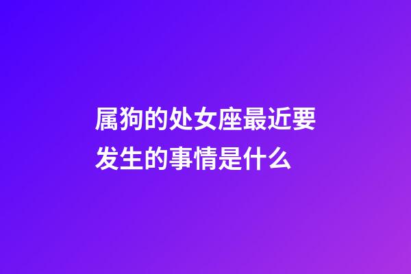 属狗的处女座最近要发生的事情是什么-第1张-星座运势-玄机派