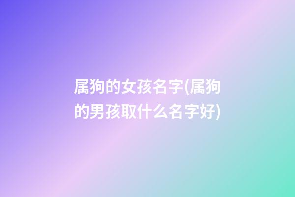 属狗的女孩名字(属狗的男孩取什么名字好)