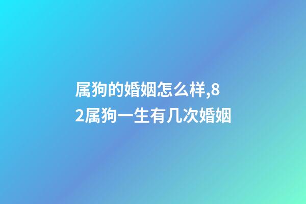 属狗的婚姻怎么样,82属狗一生有几次婚姻-第1张-观点-玄机派