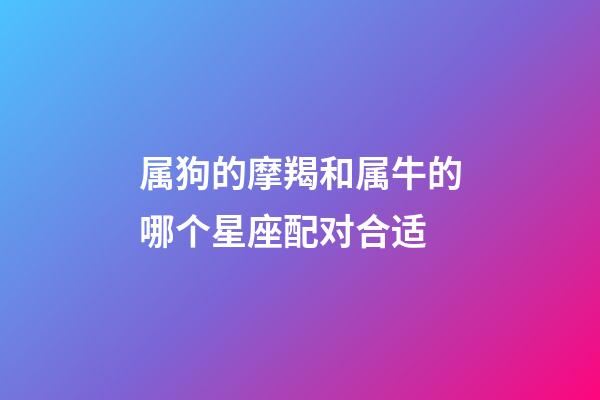 属狗的摩羯和属牛的哪个星座配对合适-第1张-星座运势-玄机派