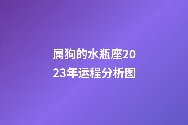 属狗的水瓶座2023年运程分析图-第1张-星座运势-玄机派