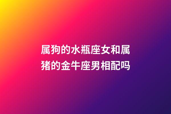 属狗的水瓶座女和属猪的金牛座男相配吗-第1张-星座运势-玄机派