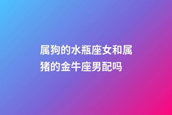 属狗的水瓶座女和属猪的金牛座男配吗-第1张-星座运势-玄机派