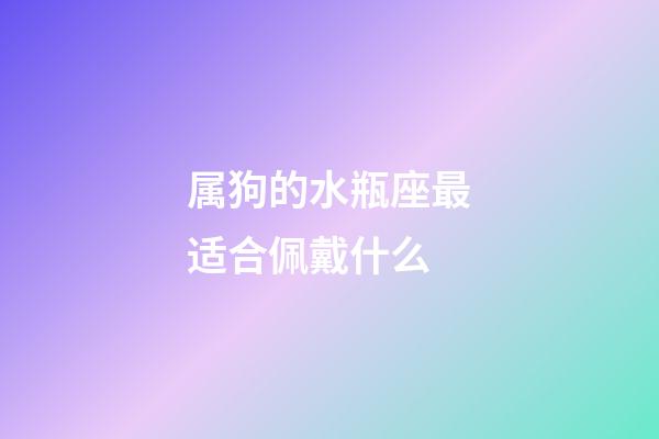 属狗的水瓶座最适合佩戴什么-第1张-星座运势-玄机派
