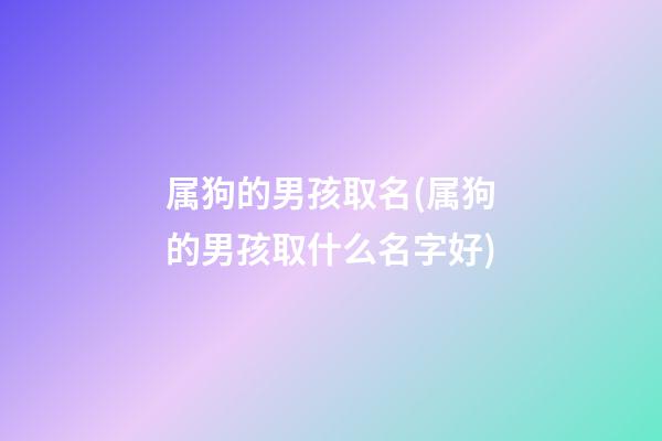 属狗的男孩取名(属狗的男孩取什么名字好)
