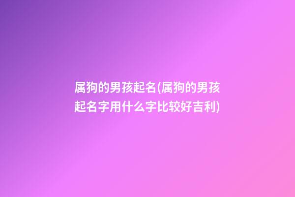 属狗的男孩起名(属狗的男孩起名字用什么字比较好吉利)