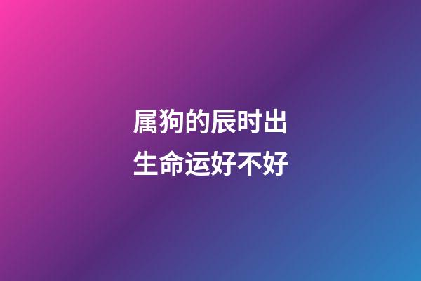 属狗的辰时出生命运好不好