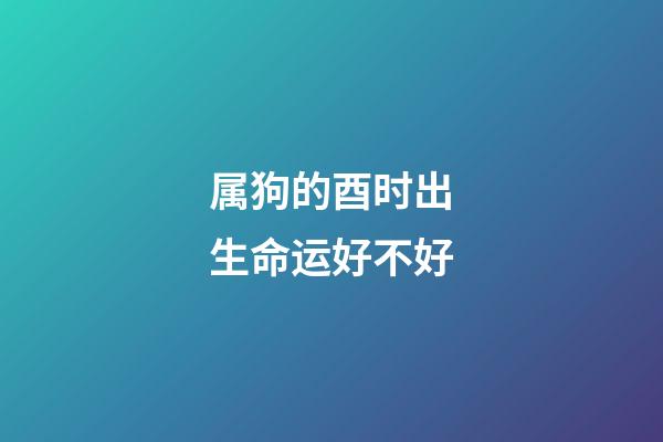 属狗的酉时出生命运好不好