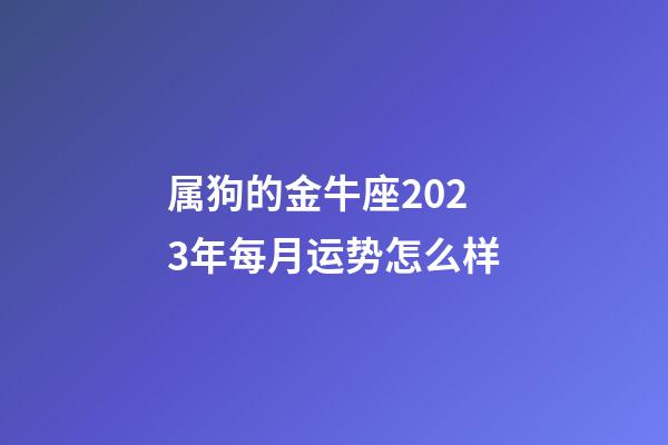 属狗的金牛座2023年每月运势怎么样-第1张-星座运势-玄机派