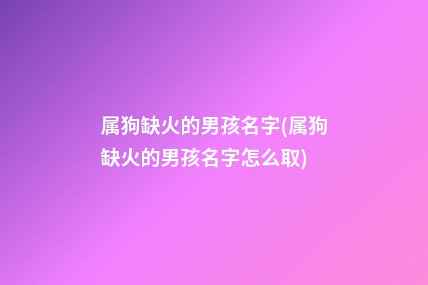 属狗缺火的男孩名字(属狗缺火的男孩名字怎么取)