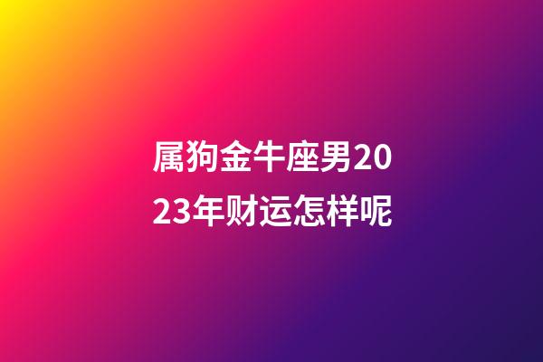 属狗金牛座男2023年财运怎样呢-第1张-星座运势-玄机派