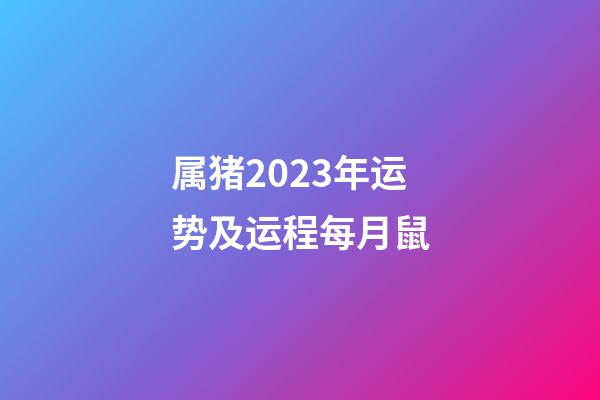 属猪2023年运势及运程每月鼠