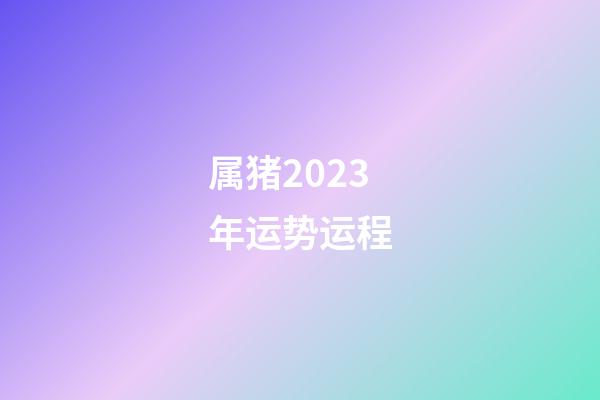 属猪2023年运势运程