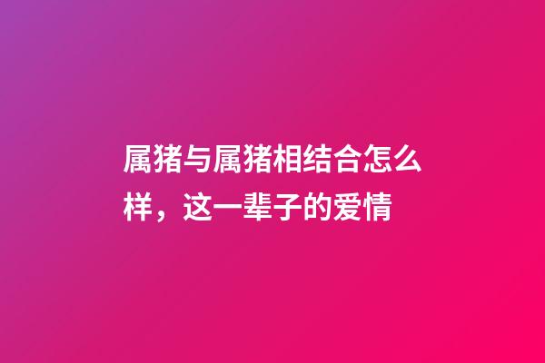 属猪与属猪相结合怎么样，这一辈子的爱情-第1张-观点-玄机派