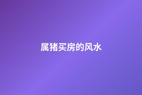 属猪买房的风水