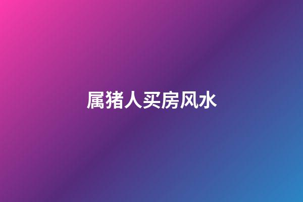 属猪人买房风水