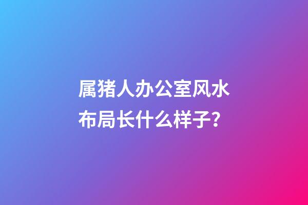 属猪人办公室风水布局长什么样子？