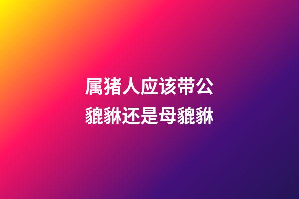 属猪人应该带公貔貅还是母貔貅