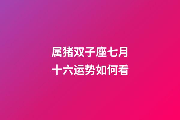 属猪双子座七月十六运势如何看-第1张-星座运势-玄机派