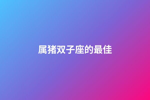 属猪双子座的最佳