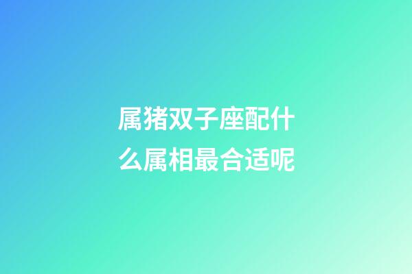 属猪双子座配什么属相最合适呢-第1张-星座运势-玄机派