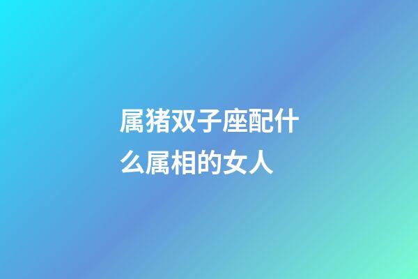 属猪双子座配什么属相的女人-第1张-星座运势-玄机派