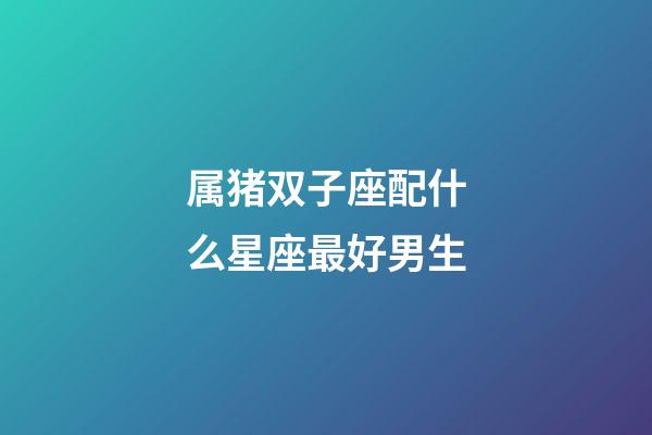 属猪双子座配什么星座最好男生-第1张-星座运势-玄机派
