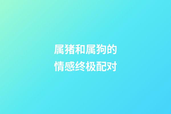 属猪和属狗的情感终极配对