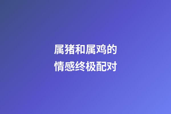属猪和属鸡的情感终极配对