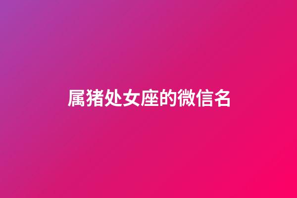 属猪处女座的微信名-第1张-星座运势-玄机派