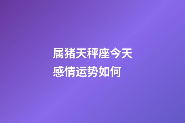 属猪天秤座今天感情运势如何-第1张-星座运势-玄机派