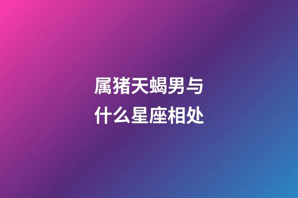 属猪天蝎男与什么星座相处-第1张-星座运势-玄机派