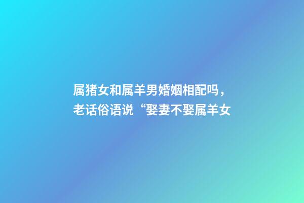 属猪女和属羊男婚姻相配吗，老话俗语说“娶妻不娶属羊女-第1张-观点-玄机派